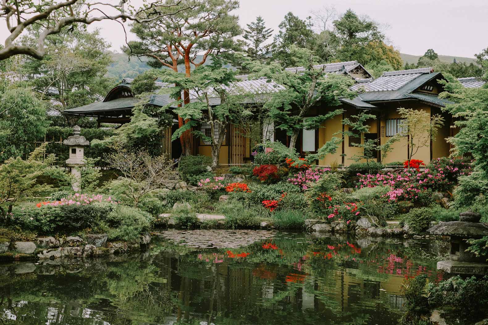 奈良的Isuien花园