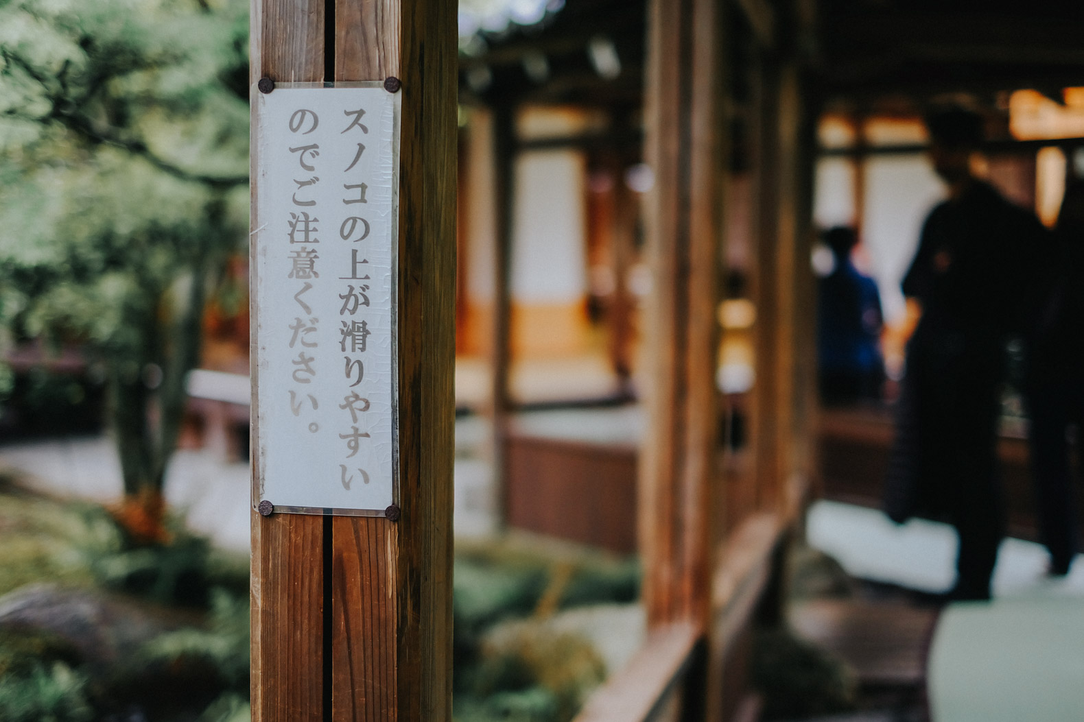 Tenryu-ji在京都